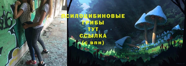 герыч Алексин