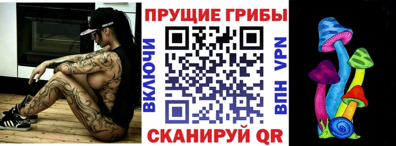 сколько стоит  Клинцы  omg зеркало  shop официальный сайт  Псилоцибиновые грибы Psilocybine cubensis 